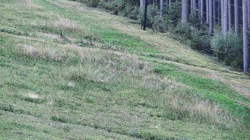 Ski areál U Sachovy studánky