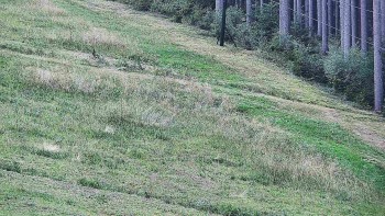 Ski areál U Sachovy studánky