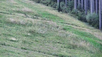 Ski areál U Sachovy studánky