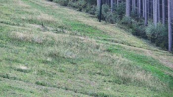 Ski areál U Sachovy studánky