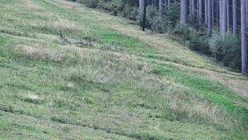 Ski areál U Sachovy studánky