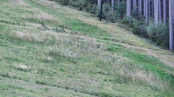 Ski areál U Sachovy studánky