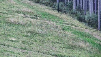 Ski areál U Sachovy studánky