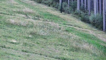 Ski areál U Sachovy studánky