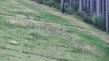 Ski areál U Sachovy studánky