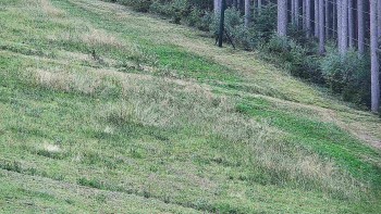 Ski areál U Sachovy studánky