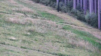 Ski areál U Sachovy studánky