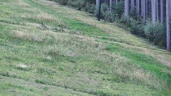 Ski areál U Sachovy studánky
