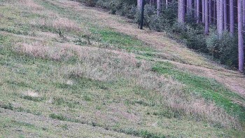 Ski areál U Sachovy studánky