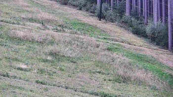 Ski areál U Sachovy studánky
