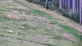 Ski areál U Sachovy studánky