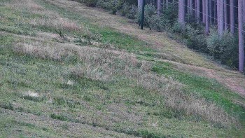 Ski areál U Sachovy studánky