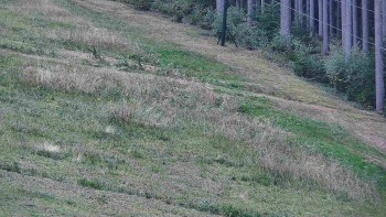 Ski areál U Sachovy studánky