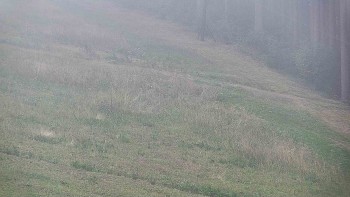 Ski areál U Sachovy studánky