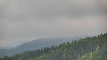 Ski areál U Sachovy studánky