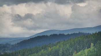 Ski areál U Sachovy studánky