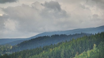 Ski areál U Sachovy studánky