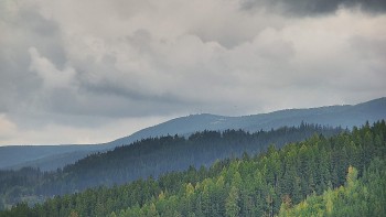 Ski areál U Sachovy studánky