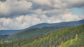 Ski areál U Sachovy studánky