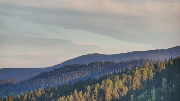 Ski areál U Sachovy studánky