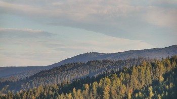 Ski areál U Sachovy studánky