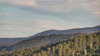 Ski areál U Sachovy studánky