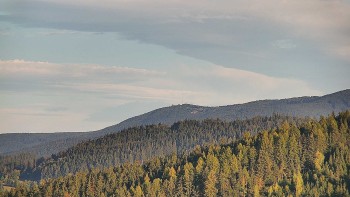 Ski areál U Sachovy studánky