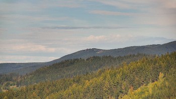 Ski areál U Sachovy studánky