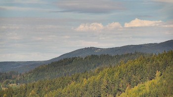 Ski areál U Sachovy studánky