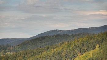 Ski areál U Sachovy studánky