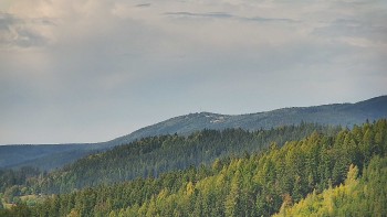 Ski areál U Sachovy studánky