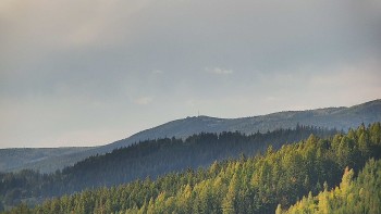 Ski areál U Sachovy studánky