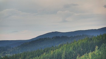 Ski areál U Sachovy studánky