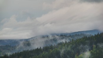 Ski areál U Sachovy studánky