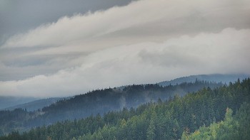 Ski areál U Sachovy studánky