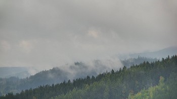 Ski areál U Sachovy studánky
