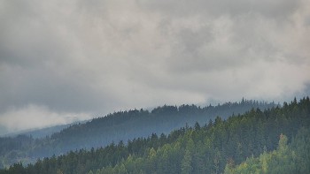 Ski areál U Sachovy studánky