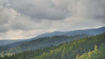 Ski areál U Sachovy studánky