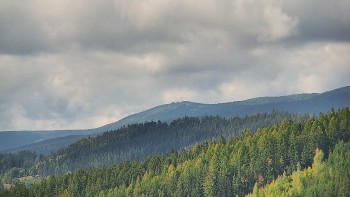 Ski areál U Sachovy studánky