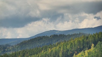Ski areál U Sachovy studánky