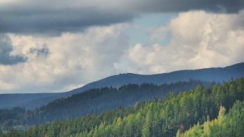 Ski areál U Sachovy studánky