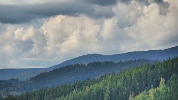 Ski areál U Sachovy studánky
