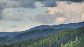 Ski areál U Sachovy studánky