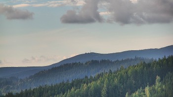Ski areál U Sachovy studánky