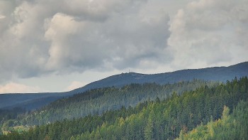 Ski areál U Sachovy studánky