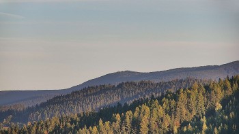 Ski areál U Sachovy studánky