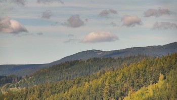 Ski areál U Sachovy studánky