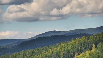 Ski areál U Sachovy studánky