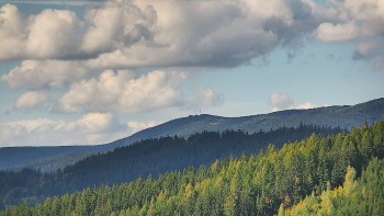 Ski areál U Sachovy studánky