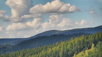Ski areál U Sachovy studánky